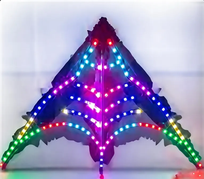 southern lights led kites - Catalog 2026 southern lights led kites