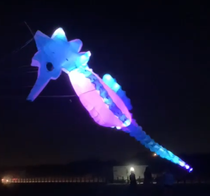 southern lights led kites - Catalog 2026 southern lights led kites